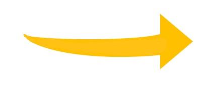 Fleche_jaune.jpg